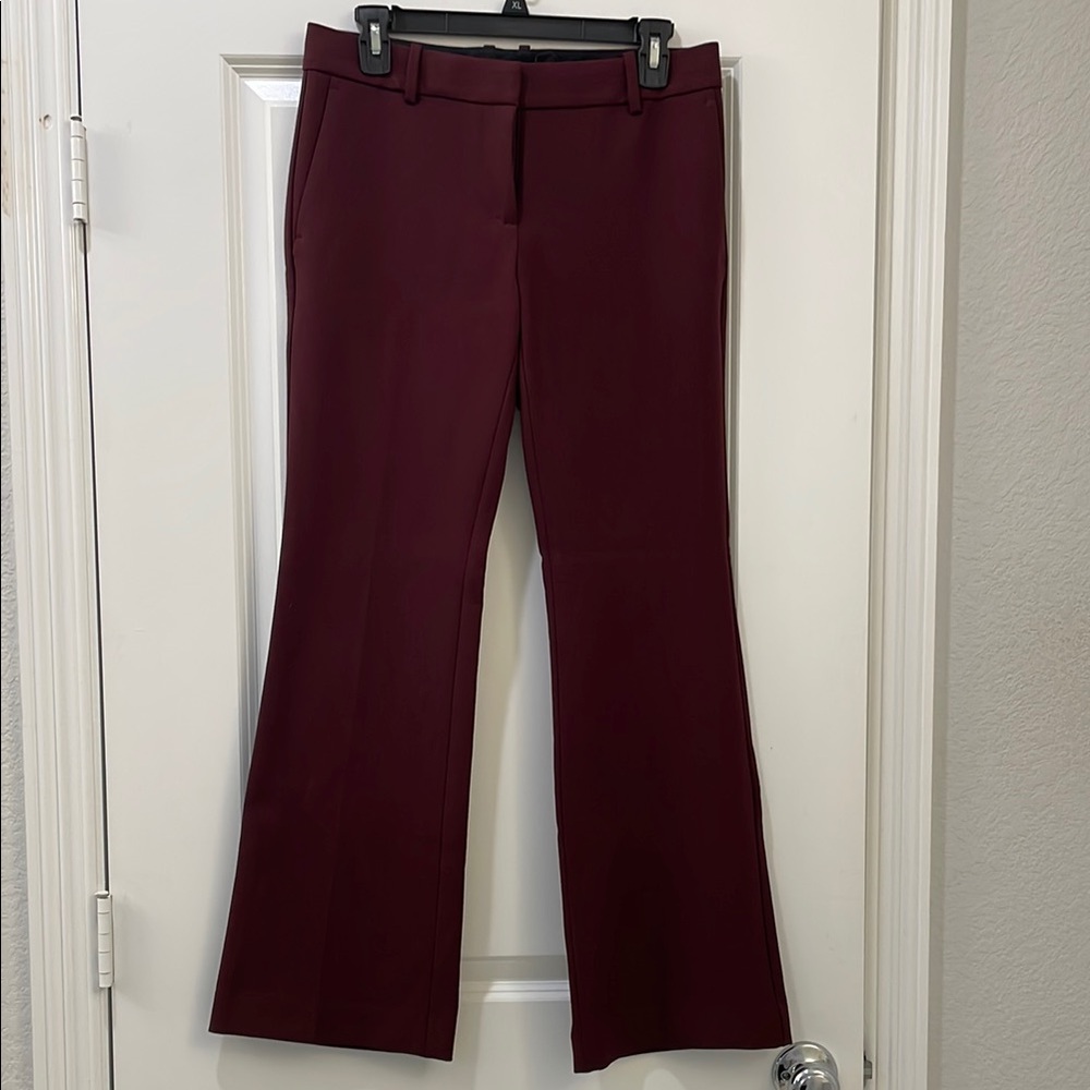 Ann Taylor Burgundy Women's Pants